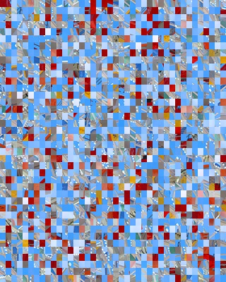 Randomized Image