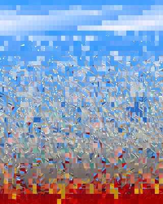 Randomized Image