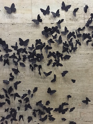 Butteflies at CCCB